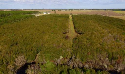 Photo of UNDER CONTRACT!  0.5 Acre Residential Lot for Sale in Hyde County NC!