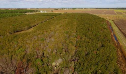 Photo of UNDER CONTRACT!  0.5 Acre Residential Lot for Sale in Hyde County NC!
