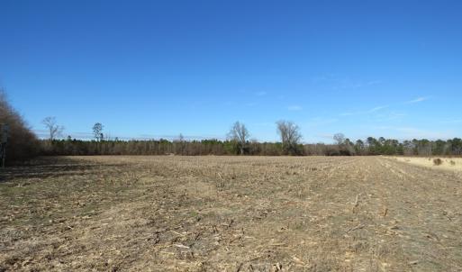 Photo of UNDER CONTRACT!  70 Acres of Farm and Timber Land For Sale in Hoke County NC!