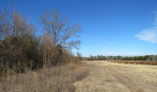 Photo of UNDER CONTRACT!  70 Acres of Farm and Timber Land For Sale in Hoke County NC!