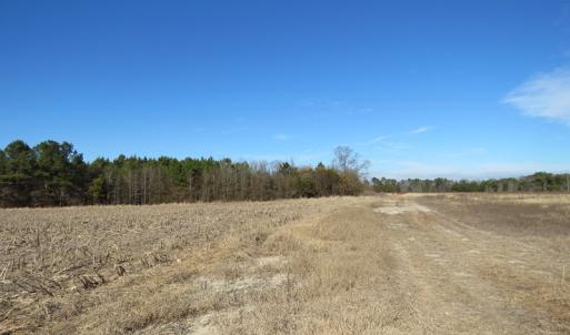 Photo of UNDER CONTRACT!  70 Acres of Farm and Timber Land For Sale in Hoke County NC!