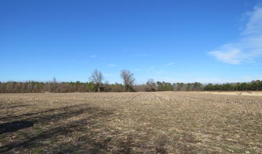 Photo of UNDER CONTRACT!  70 Acres of Farm and Timber Land For Sale in Hoke County NC!