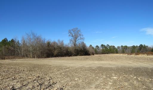 Photo of UNDER CONTRACT!  70 Acres of Farm and Timber Land For Sale in Hoke County NC!