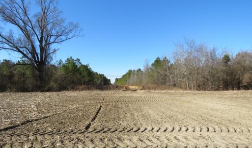 Photo of UNDER CONTRACT!  70 Acres of Farm and Timber Land For Sale in Hoke County NC!