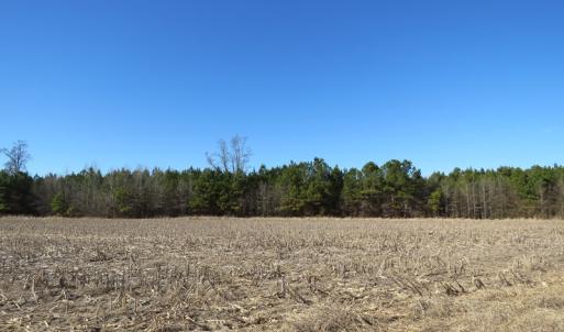 Photo of UNDER CONTRACT!  70 Acres of Farm and Timber Land For Sale in Hoke County NC!