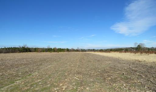 Photo of UNDER CONTRACT!  70 Acres of Farm and Timber Land For Sale in Hoke County NC!