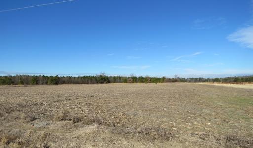 Photo of UNDER CONTRACT!  70 Acres of Farm and Timber Land For Sale in Hoke County NC!