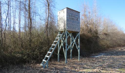 Photo of UNDER CONTRACT!  70 Acres of Farm and Timber Land For Sale in Hoke County NC!