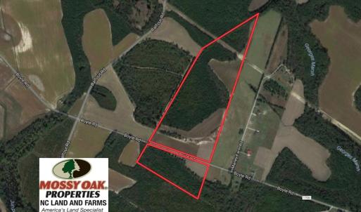 Photo of UNDER CONTRACT!  70 Acres of Farm and Timber Land For Sale in Hoke County NC!