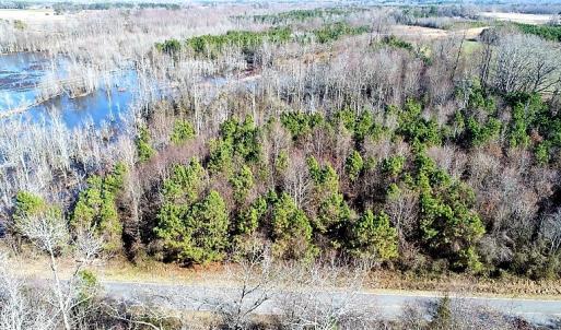 Photo of UNDER CONTRACT!  45 Acres of Hunting and Recreational Land For Sale In Wilson County NC!