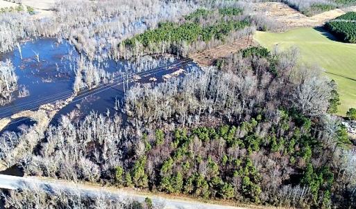 Photo of UNDER CONTRACT!  45 Acres of Hunting and Recreational Land For Sale In Wilson County NC!