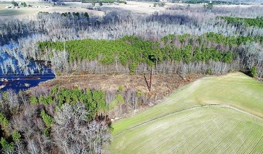 Photo of UNDER CONTRACT!  45 Acres of Hunting and Recreational Land For Sale In Wilson County NC!
