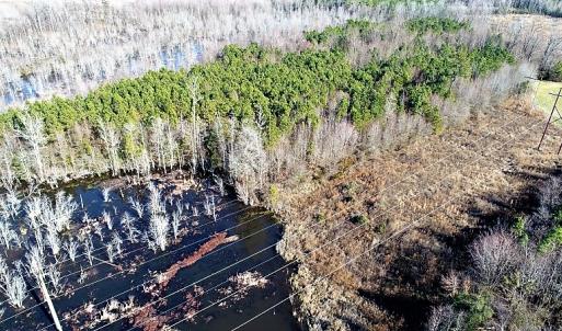 Photo of UNDER CONTRACT!  45 Acres of Hunting and Recreational Land For Sale In Wilson County NC!