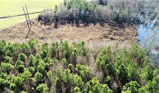 Photo of UNDER CONTRACT!  45 Acres of Hunting and Recreational Land For Sale In Wilson County NC!