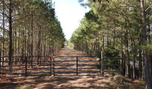 Photo of UNDER CONTRACT!  65 Acres of Waterfront Land For Sale in Hyde County NC!