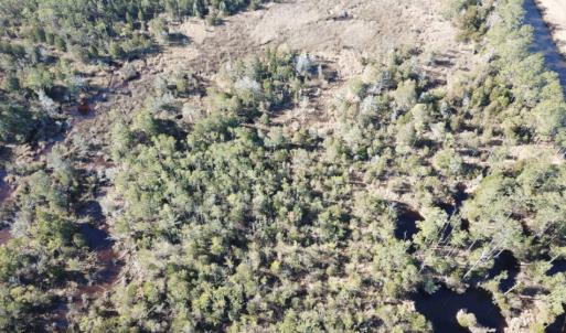 Photo of UNDER CONTRACT!  65 Acres of Waterfront Land For Sale in Hyde County NC!
