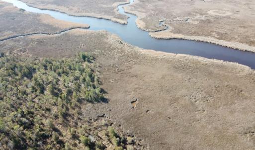 Photo of UNDER CONTRACT!  65 Acres of Waterfront Land For Sale in Hyde County NC!