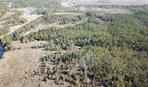 Photo of UNDER CONTRACT!  65 Acres of Waterfront Land For Sale in Hyde County NC!