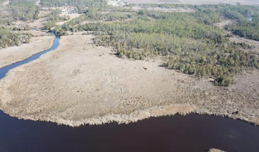Photo of UNDER CONTRACT!  65 Acres of Waterfront Land For Sale in Hyde County NC!