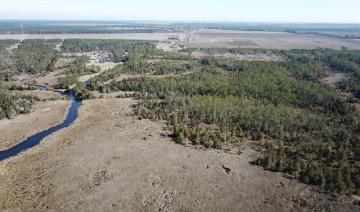 Photo of UNDER CONTRACT!  65 Acres of Waterfront Land For Sale in Hyde County NC!