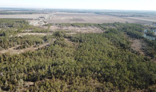 Photo of UNDER CONTRACT!  65 Acres of Waterfront Land For Sale in Hyde County NC!
