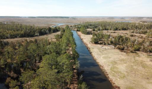 Photo of UNDER CONTRACT!  65 Acres of Waterfront Land For Sale in Hyde County NC!
