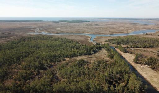 Photo of UNDER CONTRACT!  65 Acres of Waterfront Land For Sale in Hyde County NC!