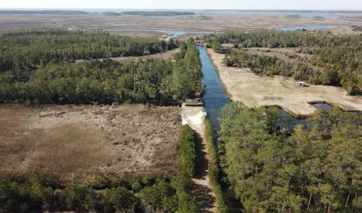 Photo of UNDER CONTRACT!  65 Acres of Waterfront Land For Sale in Hyde County NC!