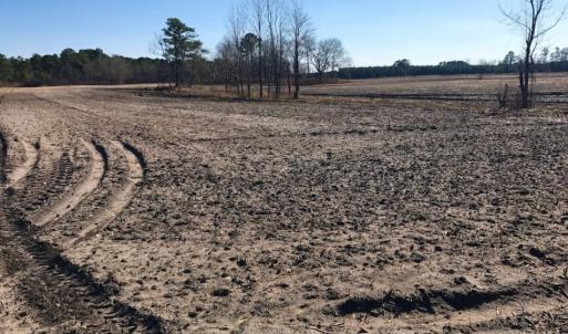 Photo of UNDER CONTRACT!  10 Acres of Residential and Recreational Land For Sale in Craven County NC!