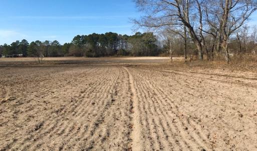 Photo of UNDER CONTRACT!  10 Acres of Residential and Recreational Land For Sale in Craven County NC!