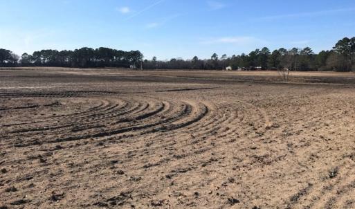 Photo of UNDER CONTRACT!  10 Acres of Residential and Recreational Land For Sale in Craven County NC!