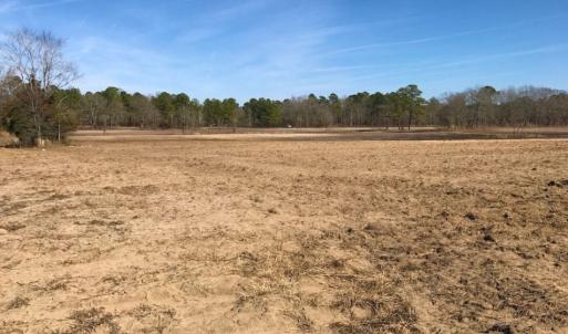 Photo of UNDER CONTRACT!  10 Acres of Residential and Recreational Land For Sale in Craven County NC!