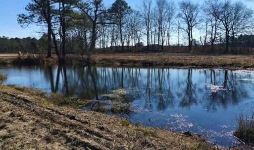 Photo of UNDER CONTRACT!  10 Acres of Residential and Recreational Land For Sale in Craven County NC!