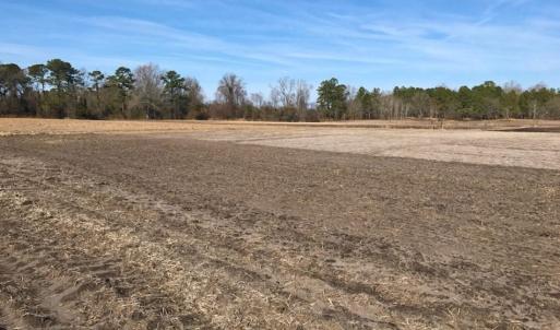 Photo of UNDER CONTRACT!  10 Acres of Residential and Recreational Land For Sale in Craven County NC!