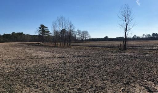 Photo of UNDER CONTRACT!  10 Acres of Residential and Recreational Land For Sale in Craven County NC!