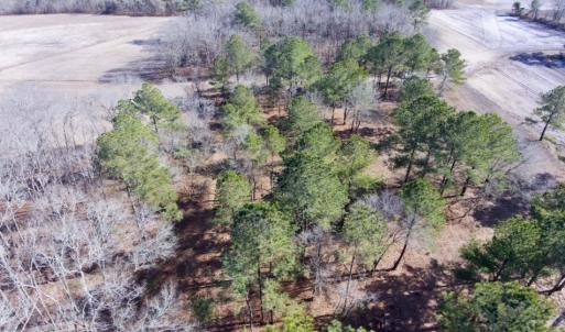 Photo of SOLD!  11 Acres of Residential and Recreational Land For Sale in Craven County NC!