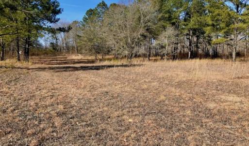 Photo of SOLD!  11 Acres of Residential and Recreational Land For Sale in Craven County NC!