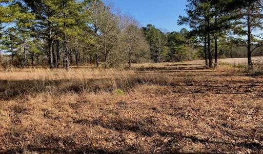 Photo of SOLD!  11 Acres of Residential and Recreational Land For Sale in Craven County NC!
