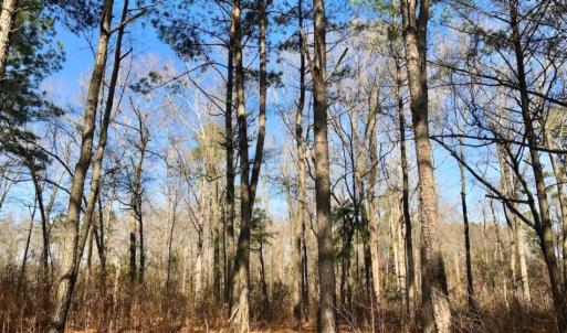 Photo of SOLD!  11 Acres of Residential and Recreational Land For Sale in Craven County NC!
