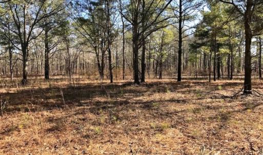 Photo of SOLD!  11 Acres of Residential and Recreational Land For Sale in Craven County NC!