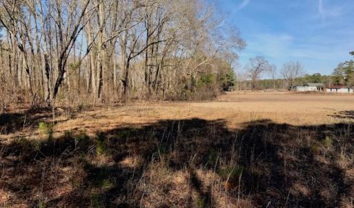 Photo of SOLD!  11 Acres of Residential and Recreational Land For Sale in Craven County NC!