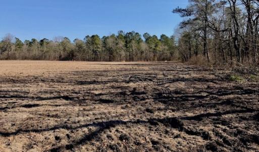 Photo of SOLD!  11 Acres of Residential and Recreational Land For Sale in Craven County NC!