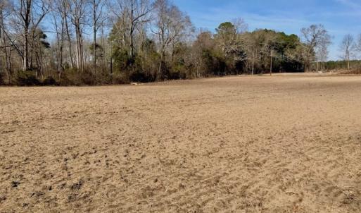 Photo of SOLD!  11 Acres of Residential and Recreational Land For Sale in Craven County NC!
