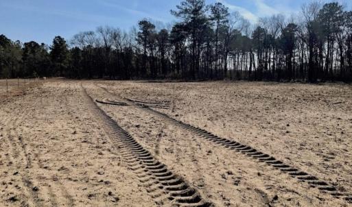 Photo of SOLD!  11 Acres of Residential and Recreational Land For Sale in Craven County NC!