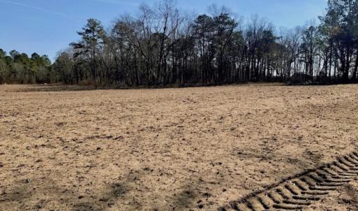 Photo of SOLD!  11 Acres of Residential and Recreational Land For Sale in Craven County NC!