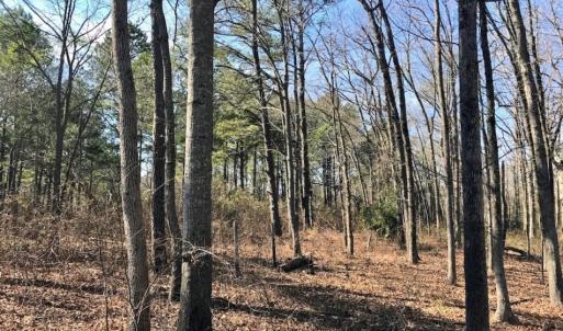 Photo of SOLD!  11 Acres of Residential and Recreational Land For Sale in Craven County NC!