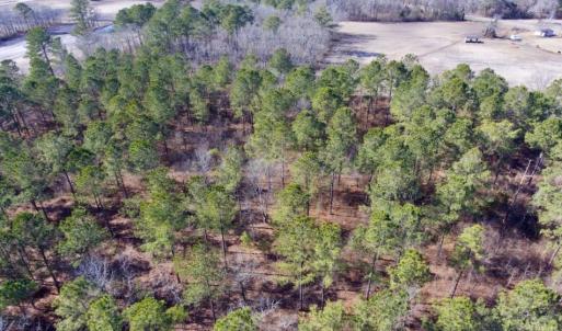 Photo of UNDER CONTRACT!  13.5 Acres of Farm and Timber Land For Sale In Craven County NC!