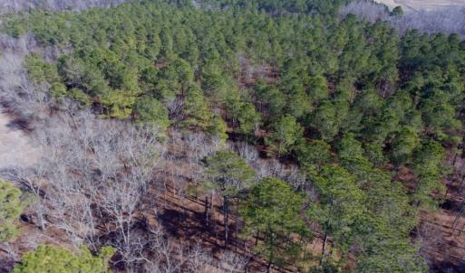 Photo of UNDER CONTRACT!  13.5 Acres of Farm and Timber Land For Sale In Craven County NC!