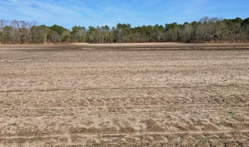 Photo of UNDER CONTRACT!  13.5 Acres of Farm and Timber Land For Sale In Craven County NC!