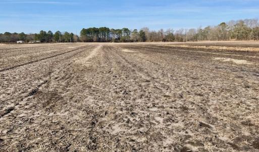 Photo of UNDER CONTRACT!  13.5 Acres of Farm and Timber Land For Sale In Craven County NC!
